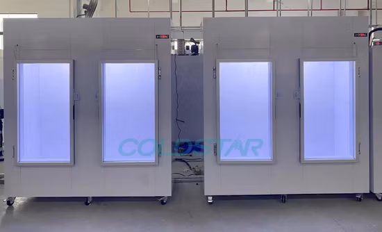 Double Door Commercial Indoor Ice Merchandiser