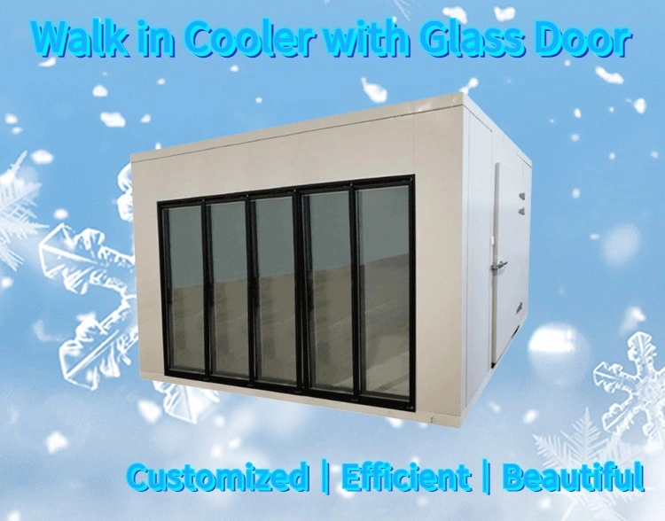 Heated Double Glass Door for Display Cold Room in American