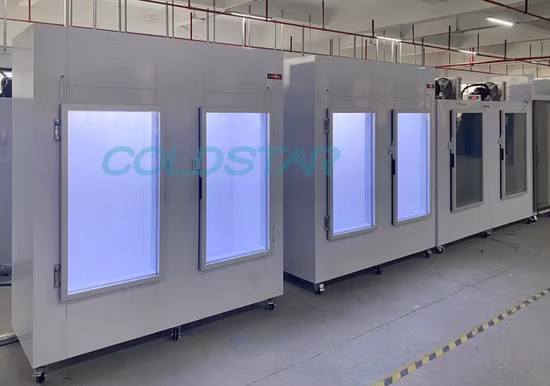 Double Door Commercial Indoor Ice Merchandiser