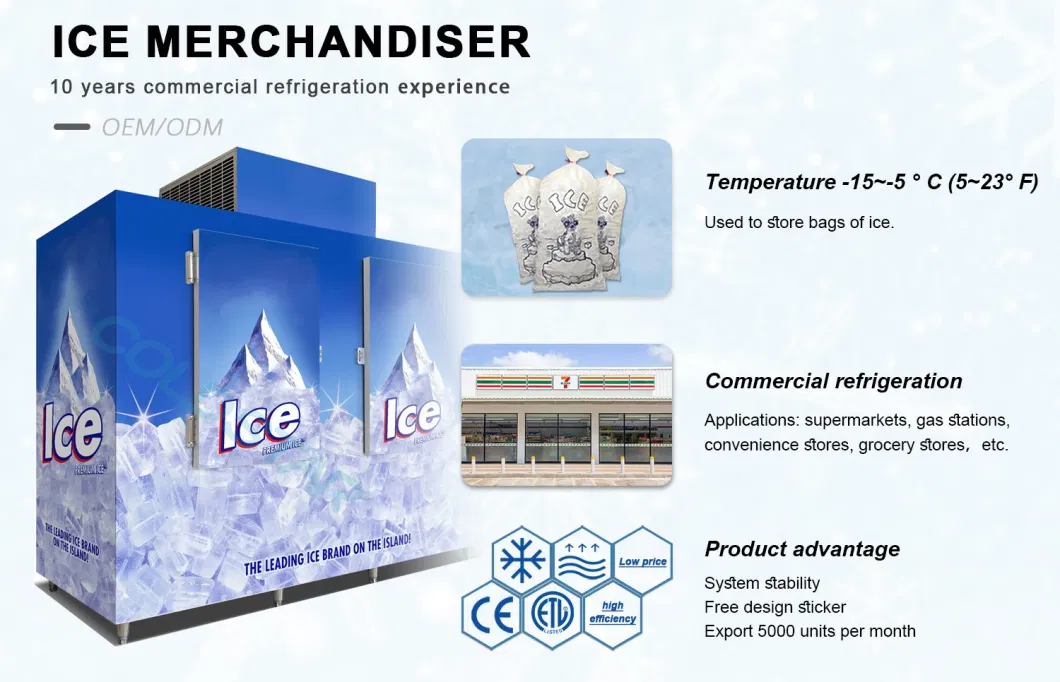 2 Door Outdoor Bagged Ice Merchandiser