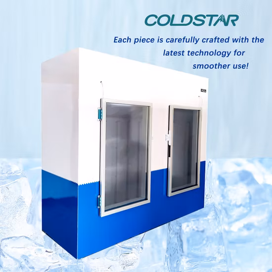 Double Door Commercial Indoor Ice Merchandiser