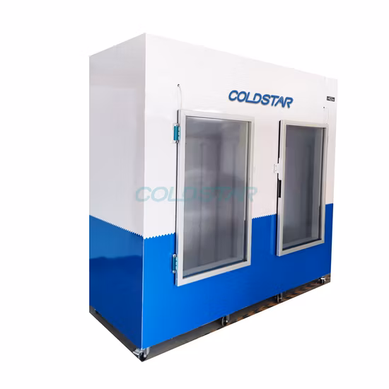 Double Door Commercial Indoor Ice Merchandiser