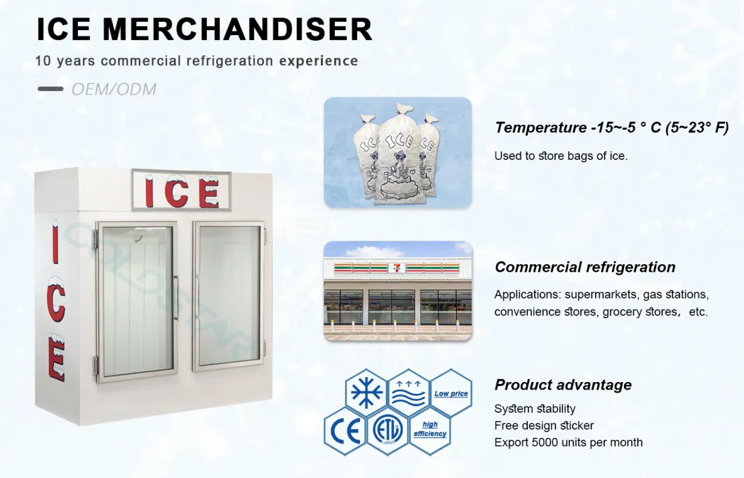 Double Door Commercial Indoor Ice Merchandiser