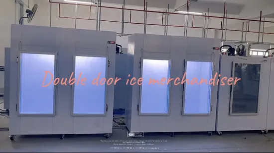 Double Door Commercial Indoor Ice Merchandiser