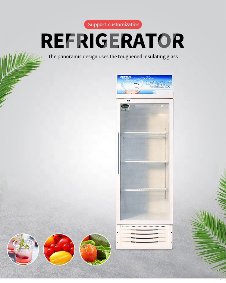 Kitchen Chiller Display Beer 2 Door Beverage Can Cooler Refrigerator Freezer Cooler Fridge Glass Door Built in