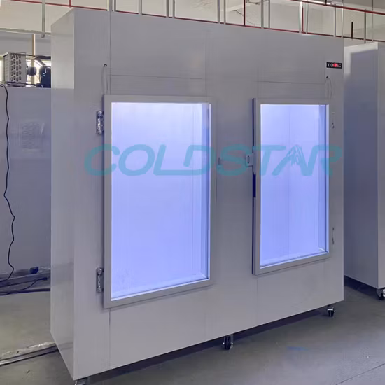 Bagged Ice Merchandiser with Glass Door