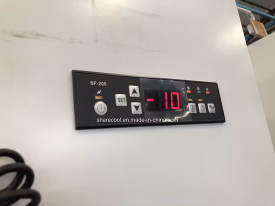 Single Glass Door Bagged Ice Merchandiser with Ce